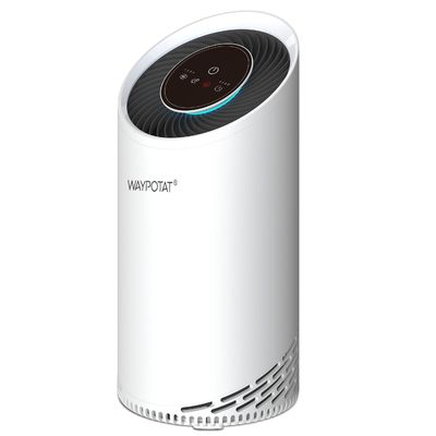 Purificateur d'air Hepa 13 pour chambre à coucher élimine les odeurs des peaux d'animaux