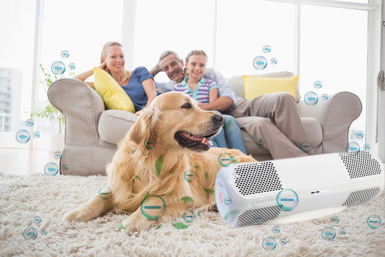 Désinfecteur d'air ABS avec moisissure privée tue les virus de la grippe H1N1 les bactéries les champignons OEM/ODM