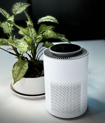 Stérilisateur d'air en plasma équipé de HEPA avec commande tactile pour éliminer les particules de poudre de feux d'artifice