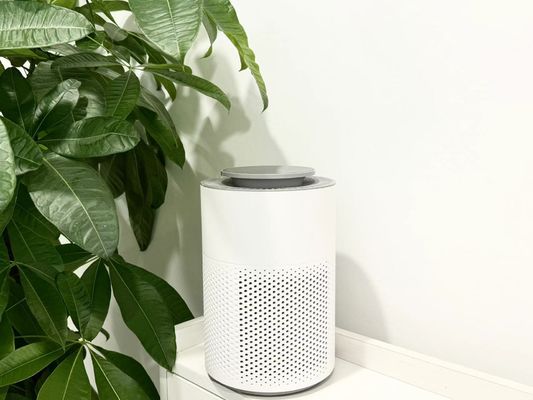 Nettoyeur d'air industriel compact HC10 avec filtre HEPA et minuterie de 4 heures pour éliminer les odeurs