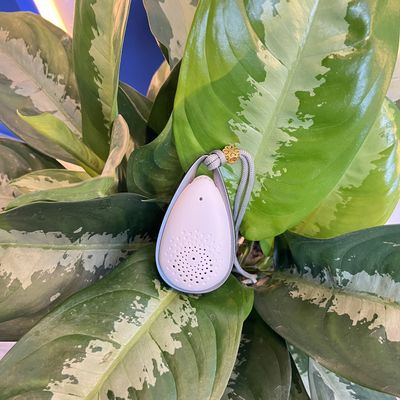 VDETTE NC01 Purificateur d'air portable câble de recharge USB inclus pour voiture d'hôtel