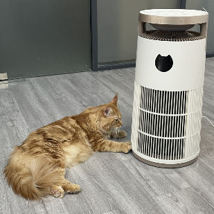 Purificateur d'air HEPA à ozone VDETTE HP01 avec minuterie 220V Blanc