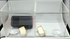 Bruit 27 dB Purificateur d'air frais pour voiture pour l'air frais et propre